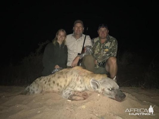 Spotted Hyena Hunt Zimbabwe