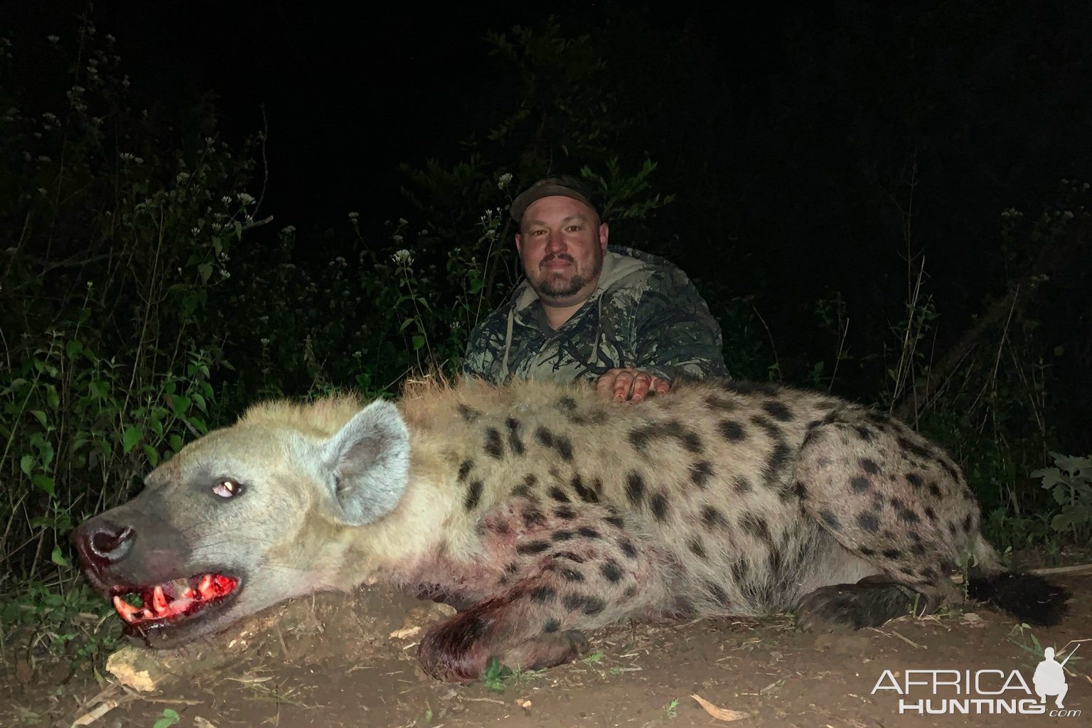 Spotted Hyena Hunt