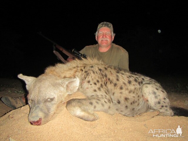 Spotted Hyena Hunt