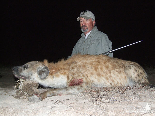 Spotted Hyena Hunt