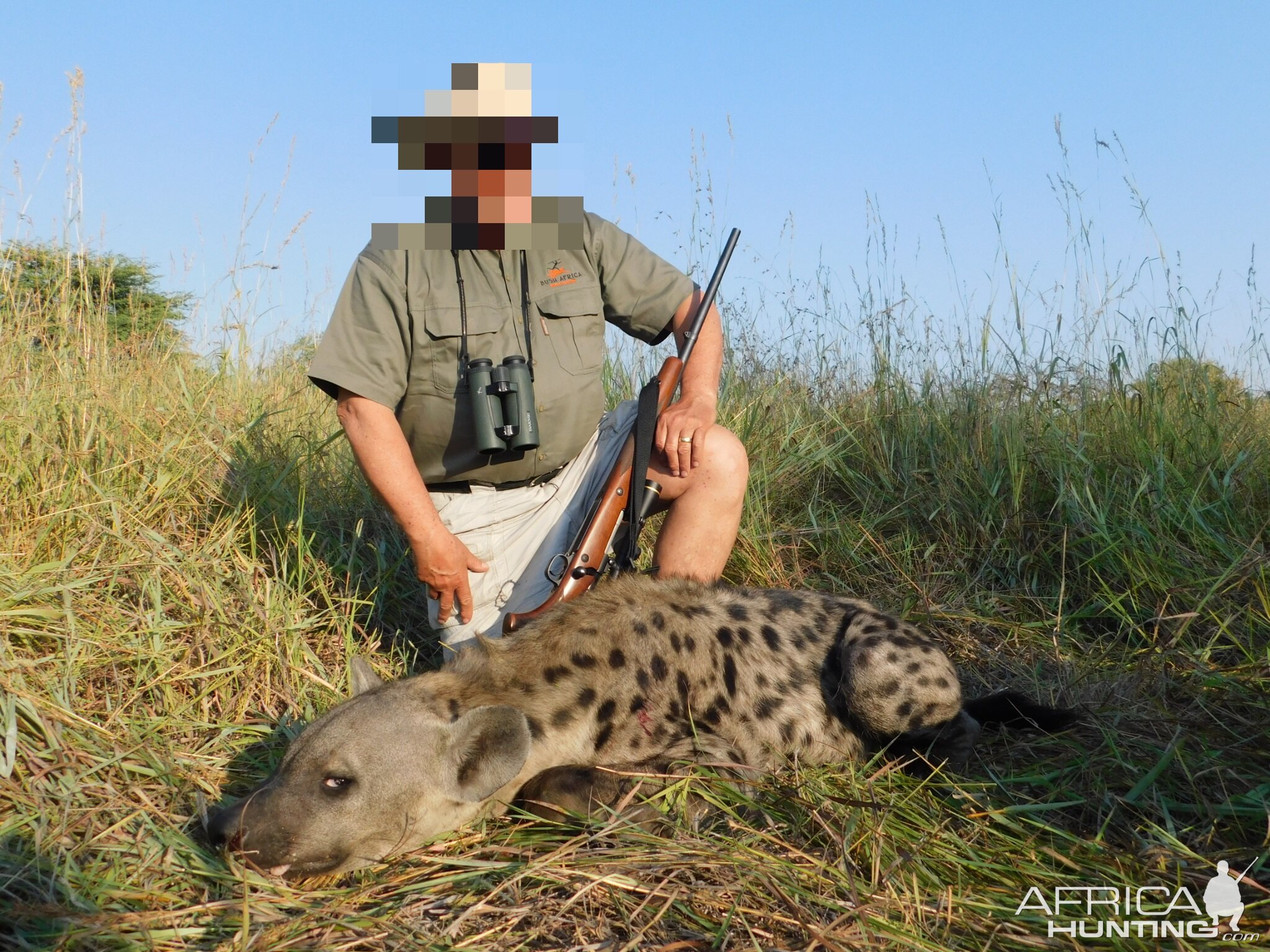 Spotted Hyena Hunt