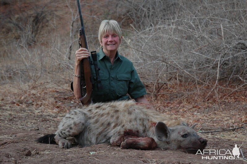 Spotted Hyena Hunting in Zimbabwe