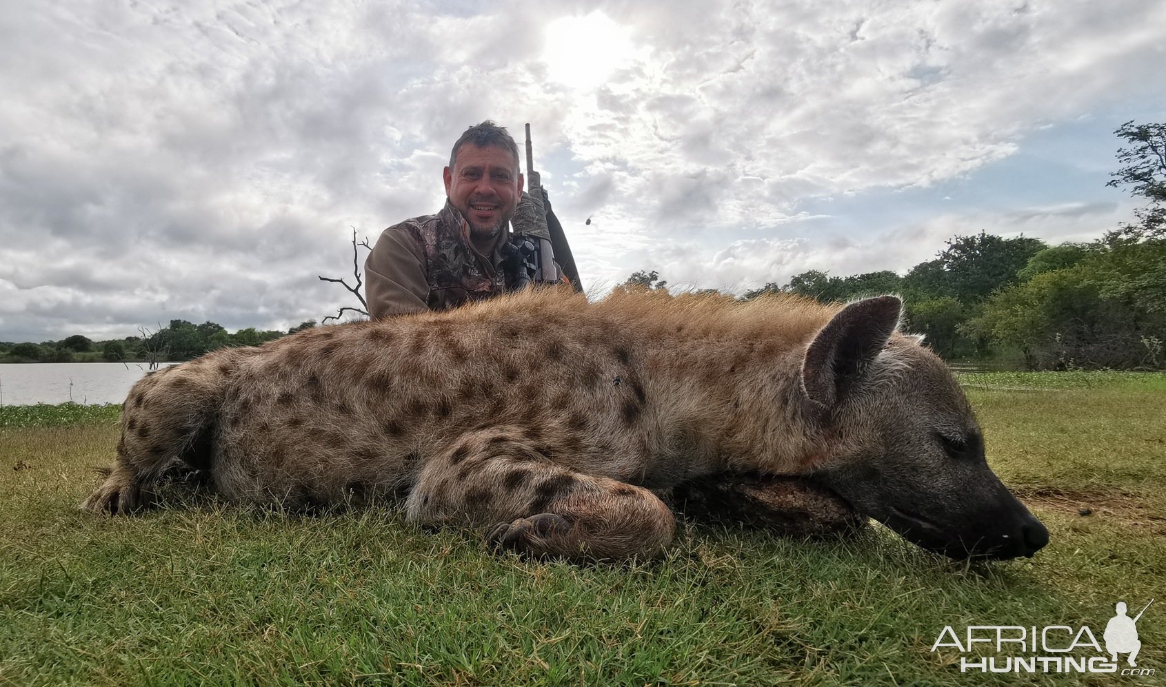 Spotted Hyena Hunting South Africa