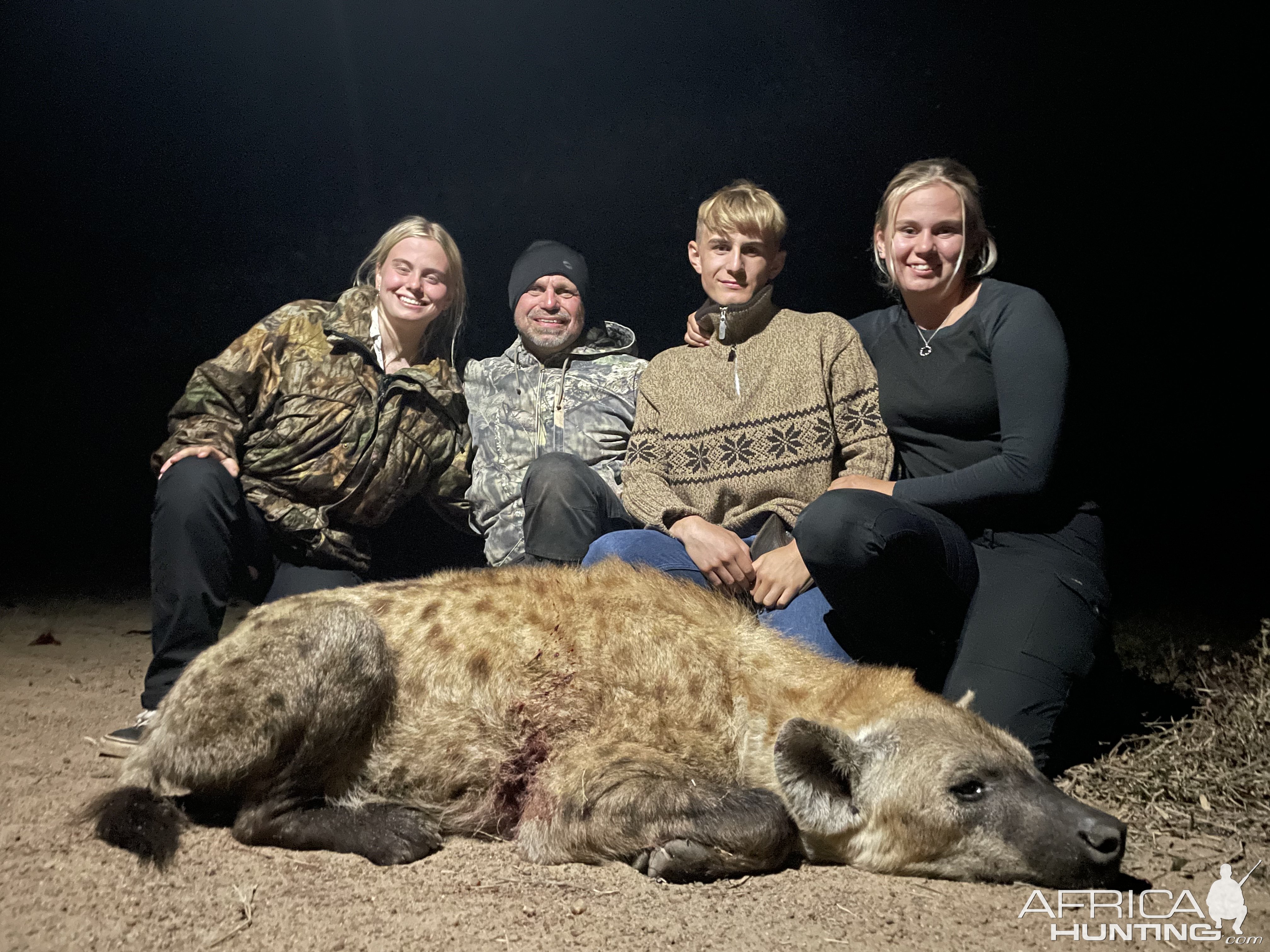 Spotted Hyena Hunting South Africa