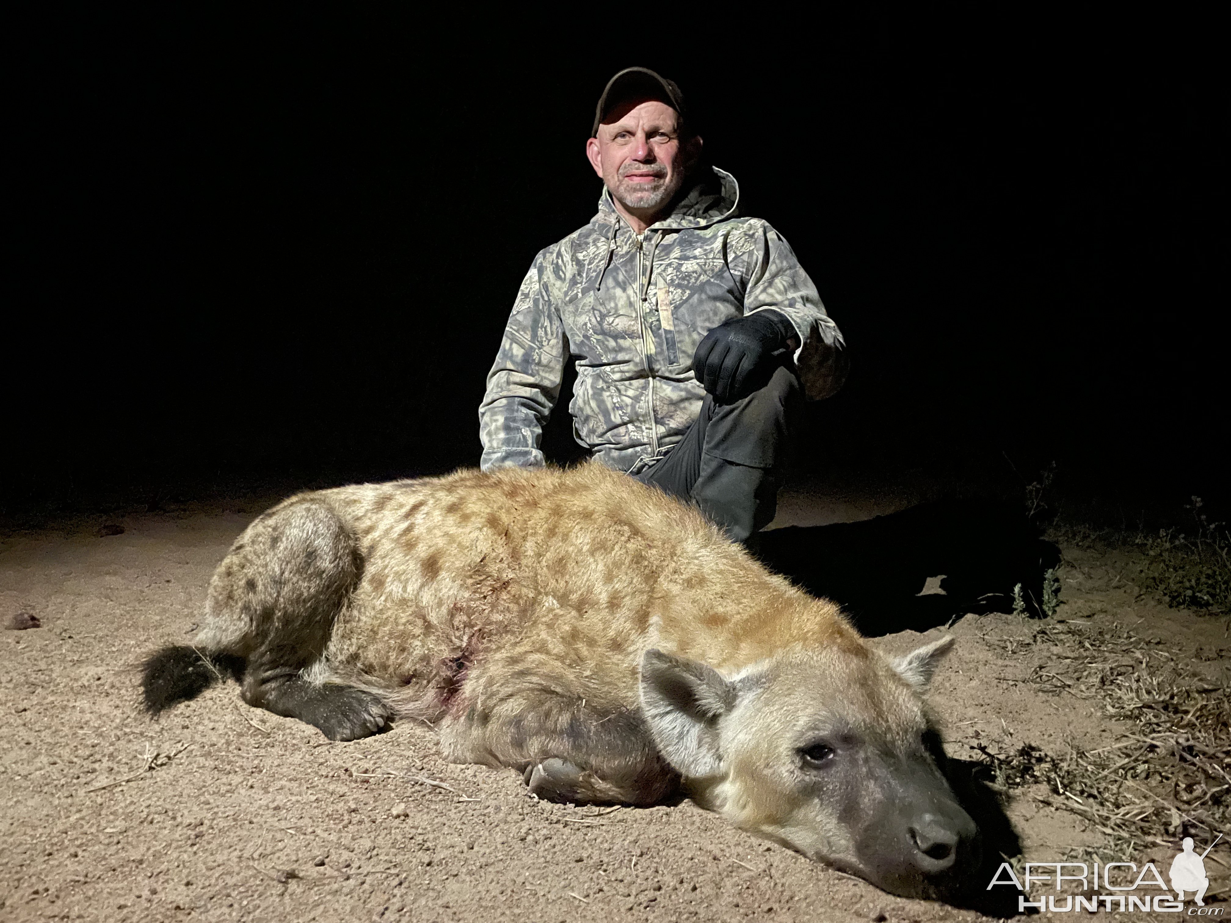 Spotted Hyena Hunting South Africa