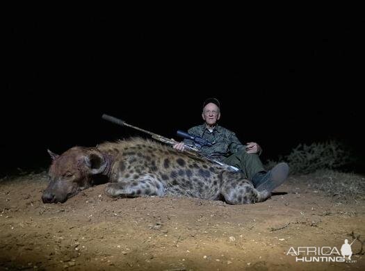 Spotted Hyena Hunting Sunset Safaris