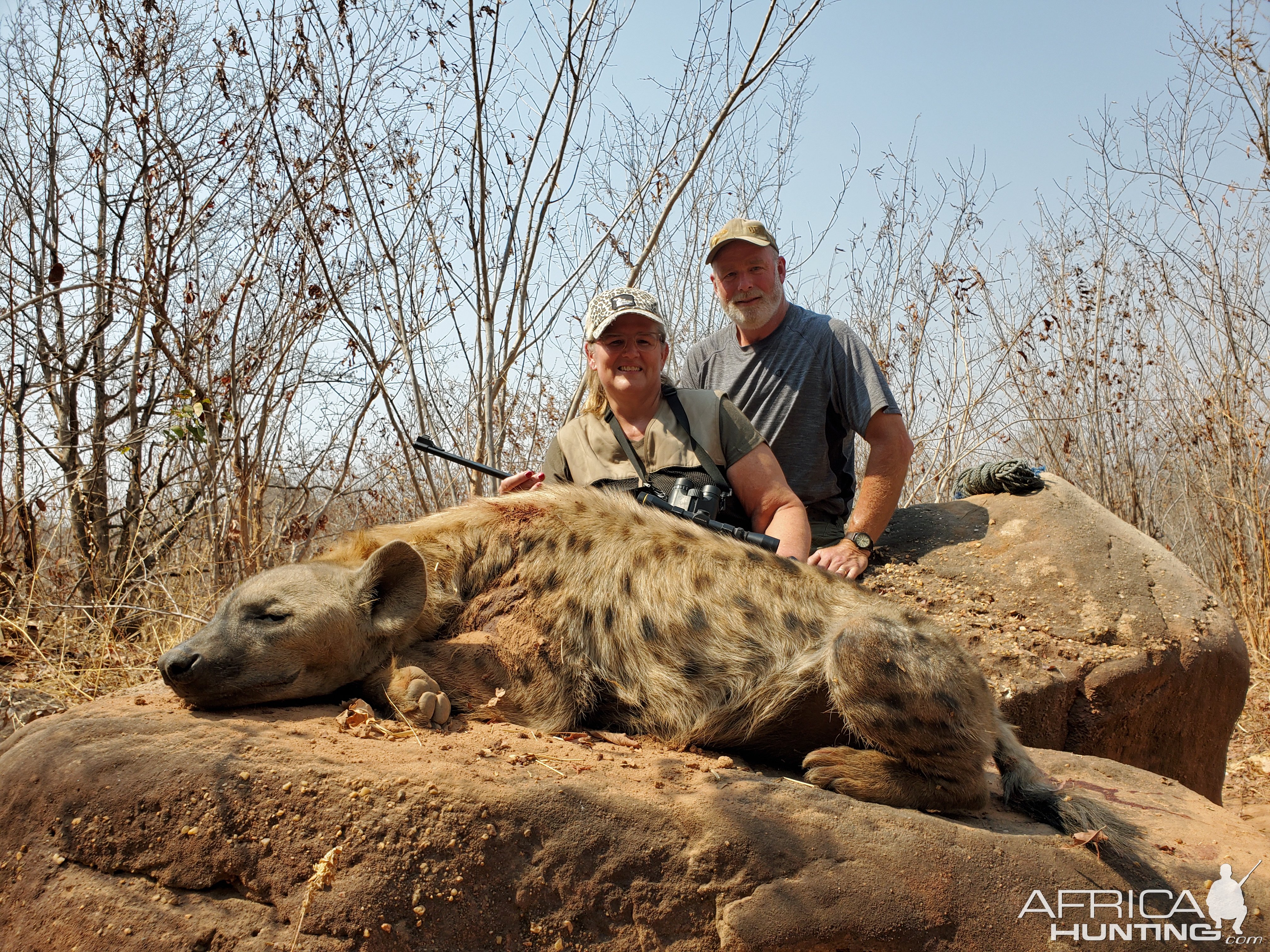 Spotted Hyena Hunting Zimbabwe