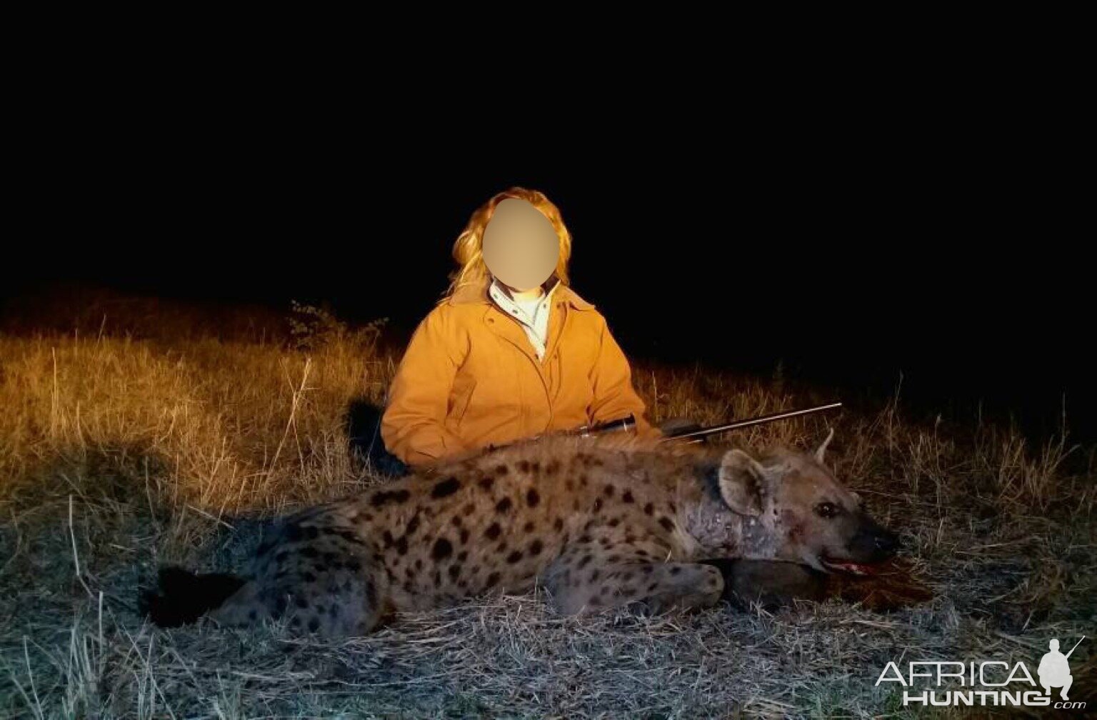 Spotted Hyena Matetsi Area Zimbabwe Hunt