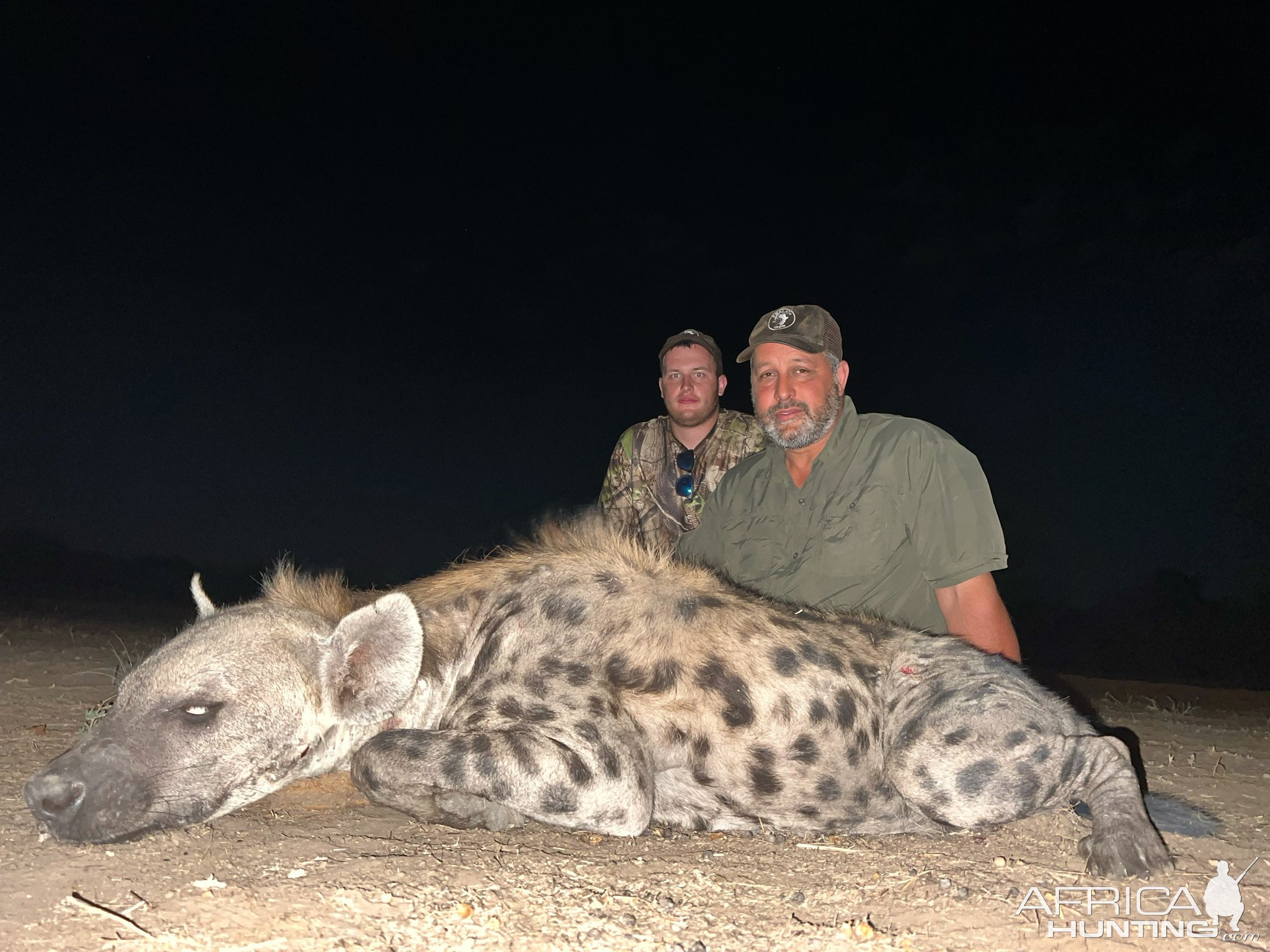 Spotted Hyena, Niassa Special Reserve, Block L9, Kwalata Safaris