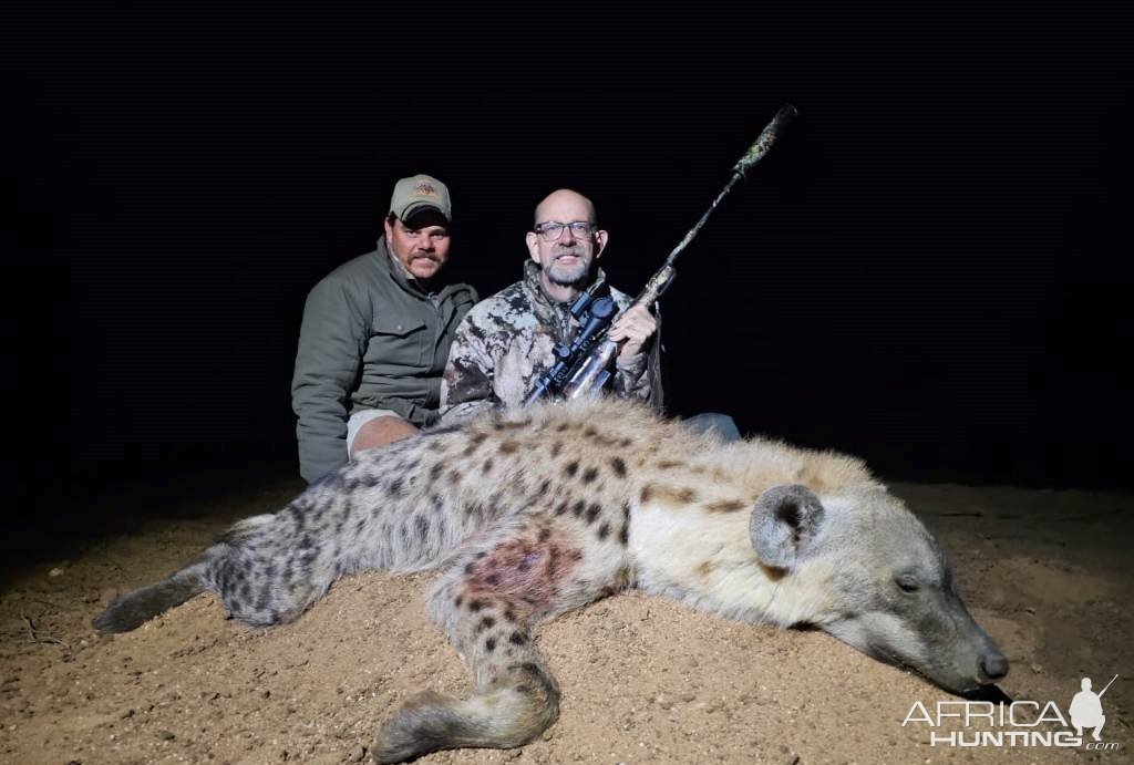 Spotted Hyena Night Hunt South Africa