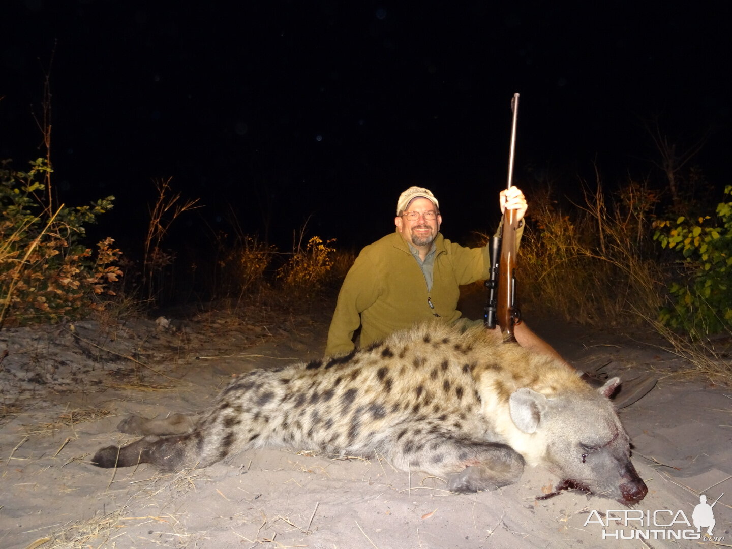 Spotted Hyena Zimbabwe Hunt