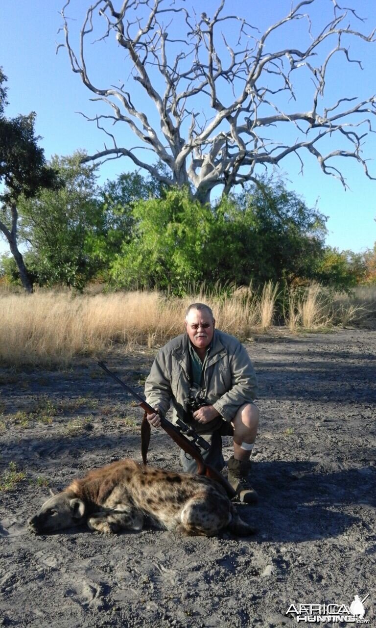 spotted hyena Zimbabwe