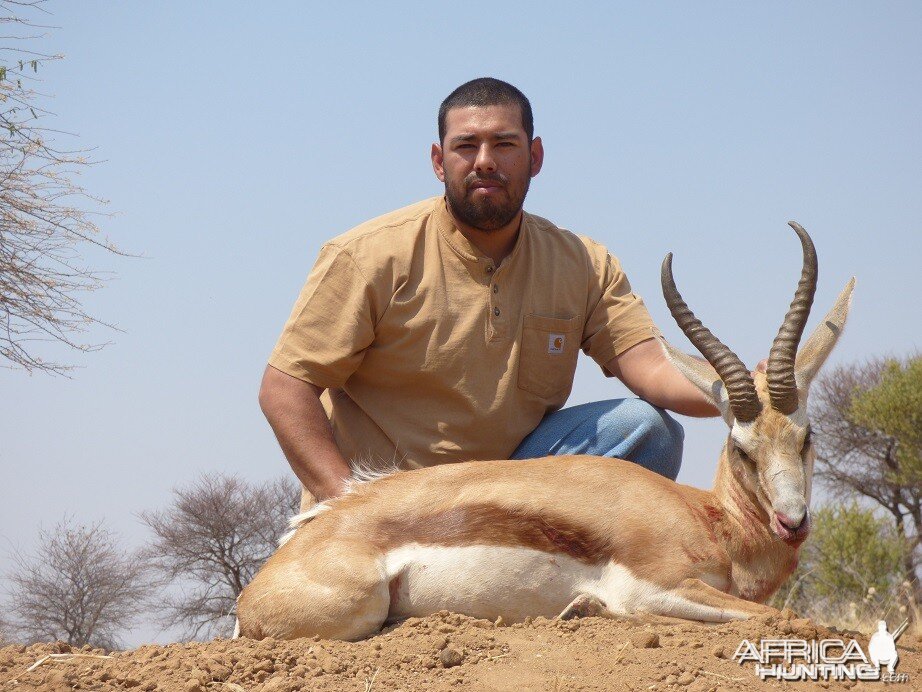 Springbok 15 inches