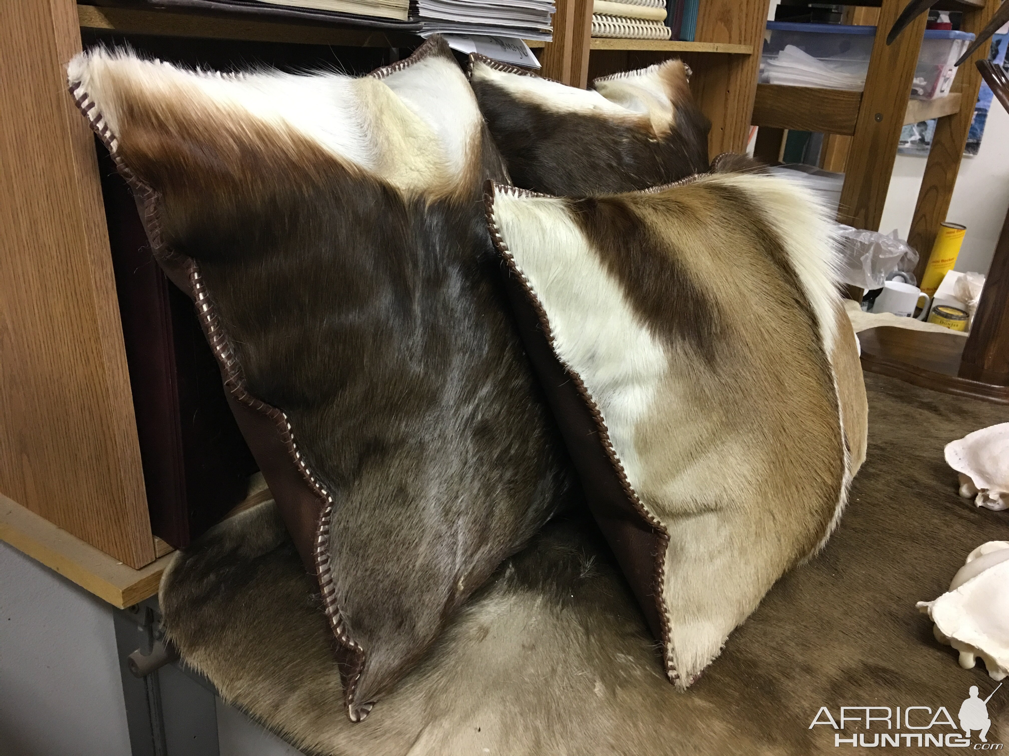 Springbok & Blesbok Pillows