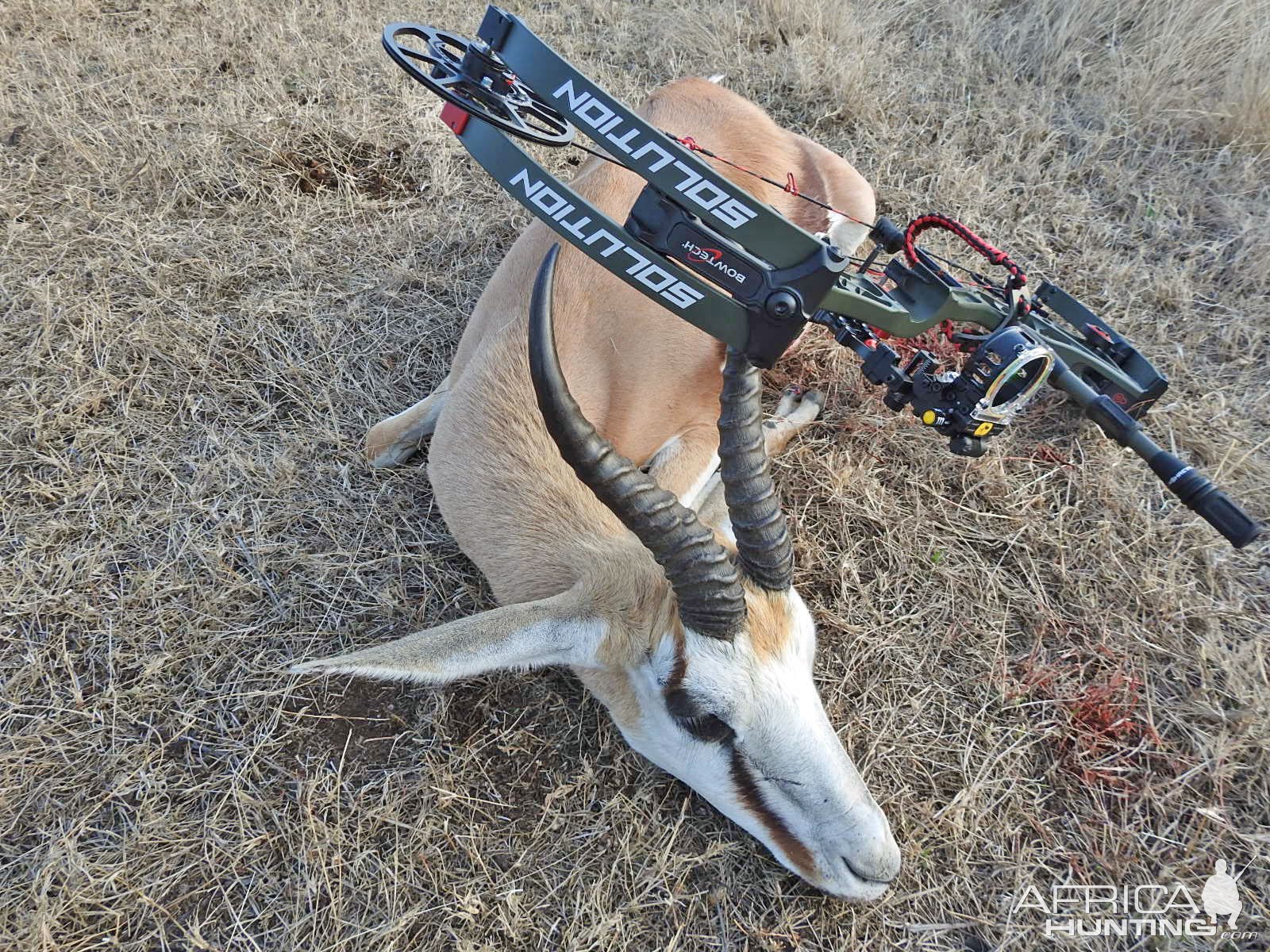 Springbok Bow Hunt South Africa