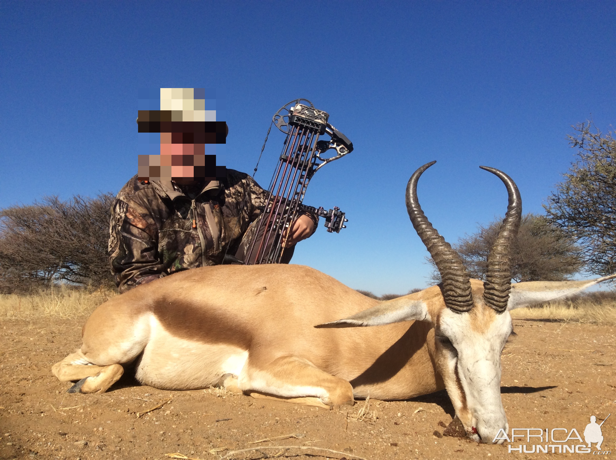 Springbok Bow Hunt