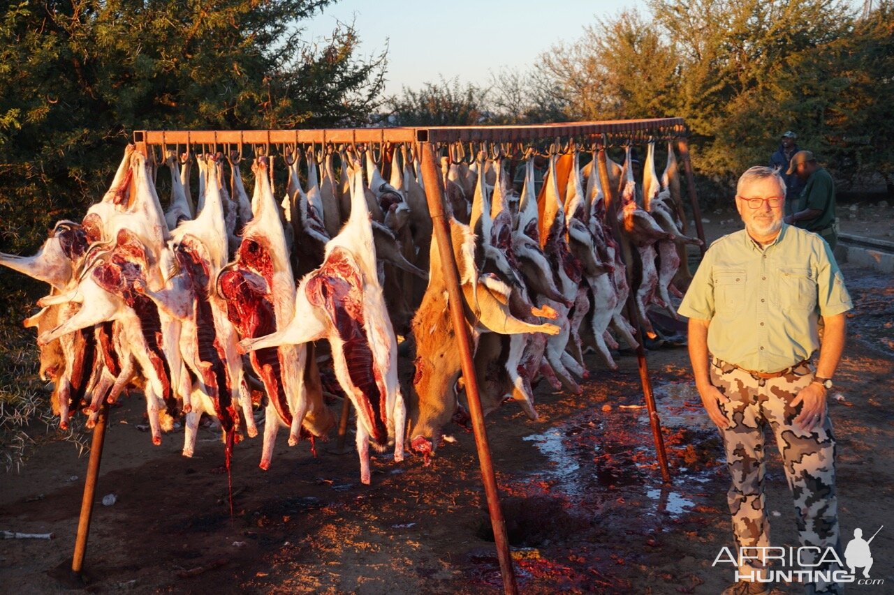 Springbok Cull Hunting South Africa