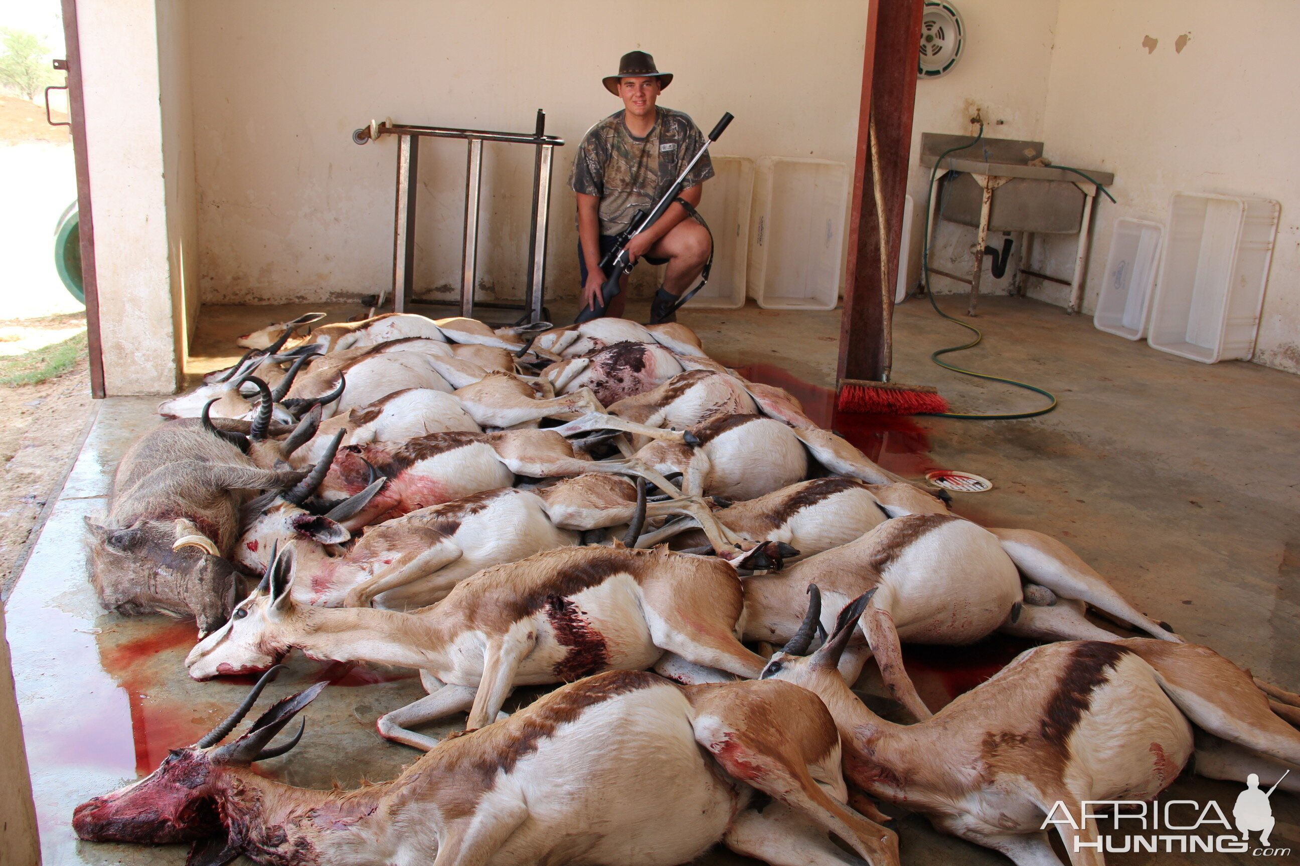 Springbok Cull Hunting with De Klerk Safaris