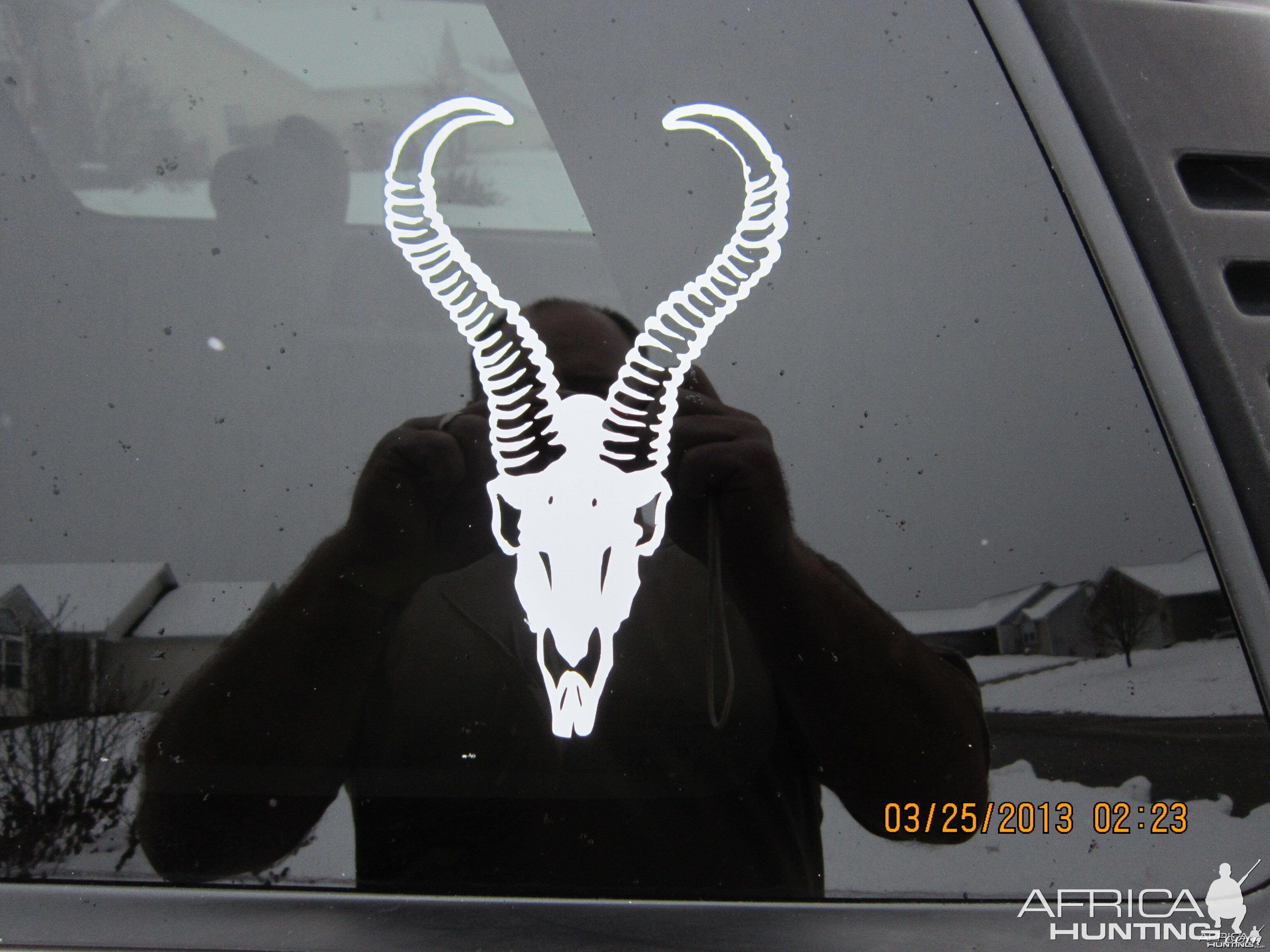 Springbok Decal Stickers