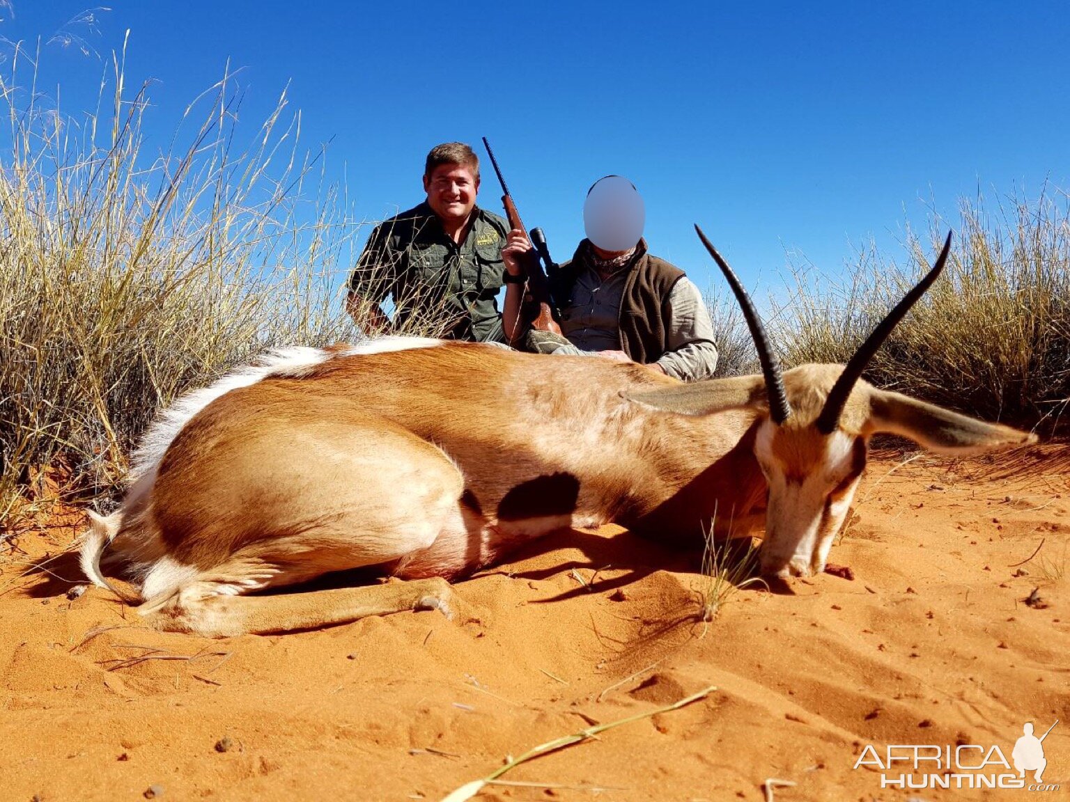 Springbok Female Hunt South Africa