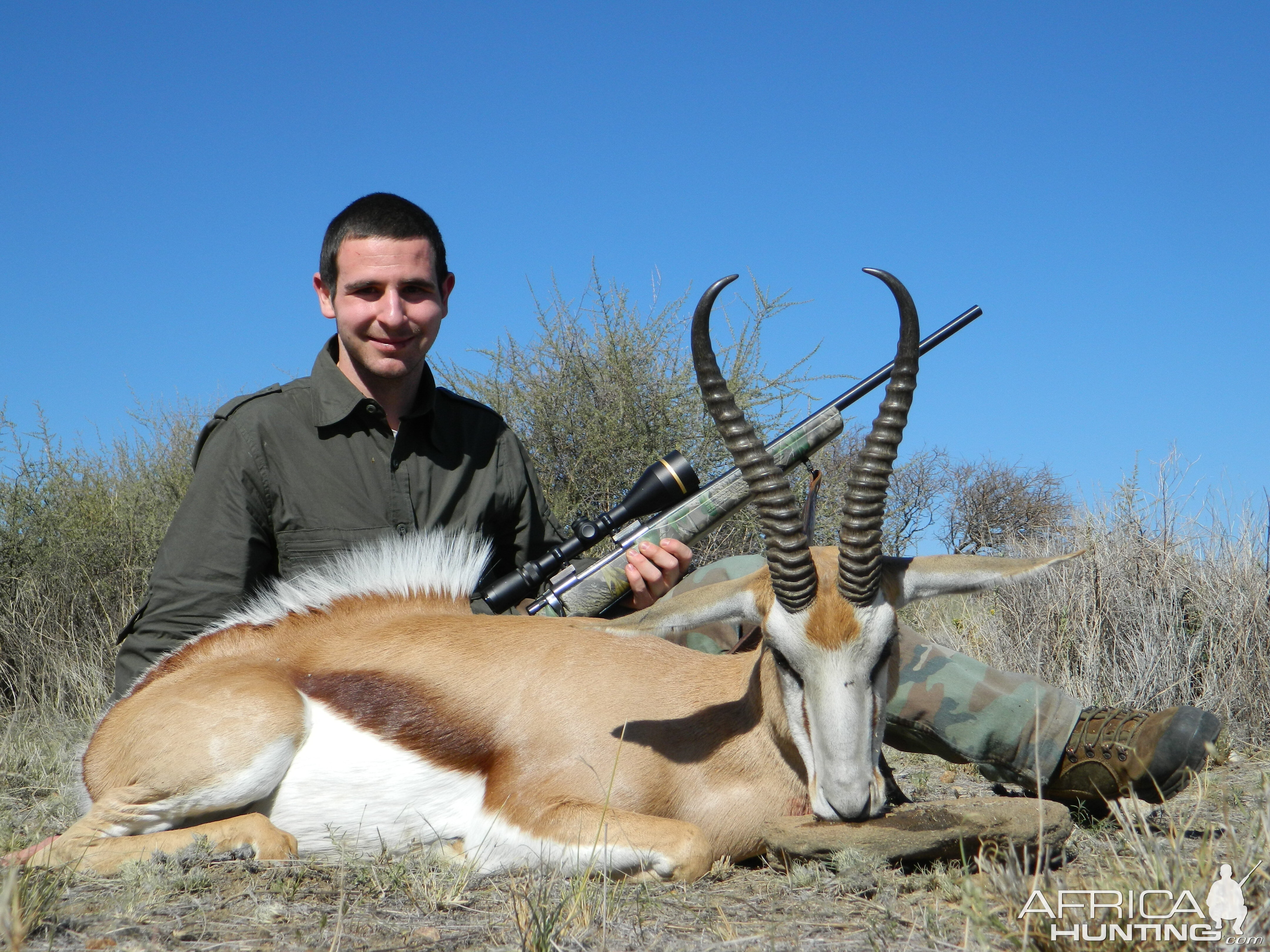 Springbok from Namibia