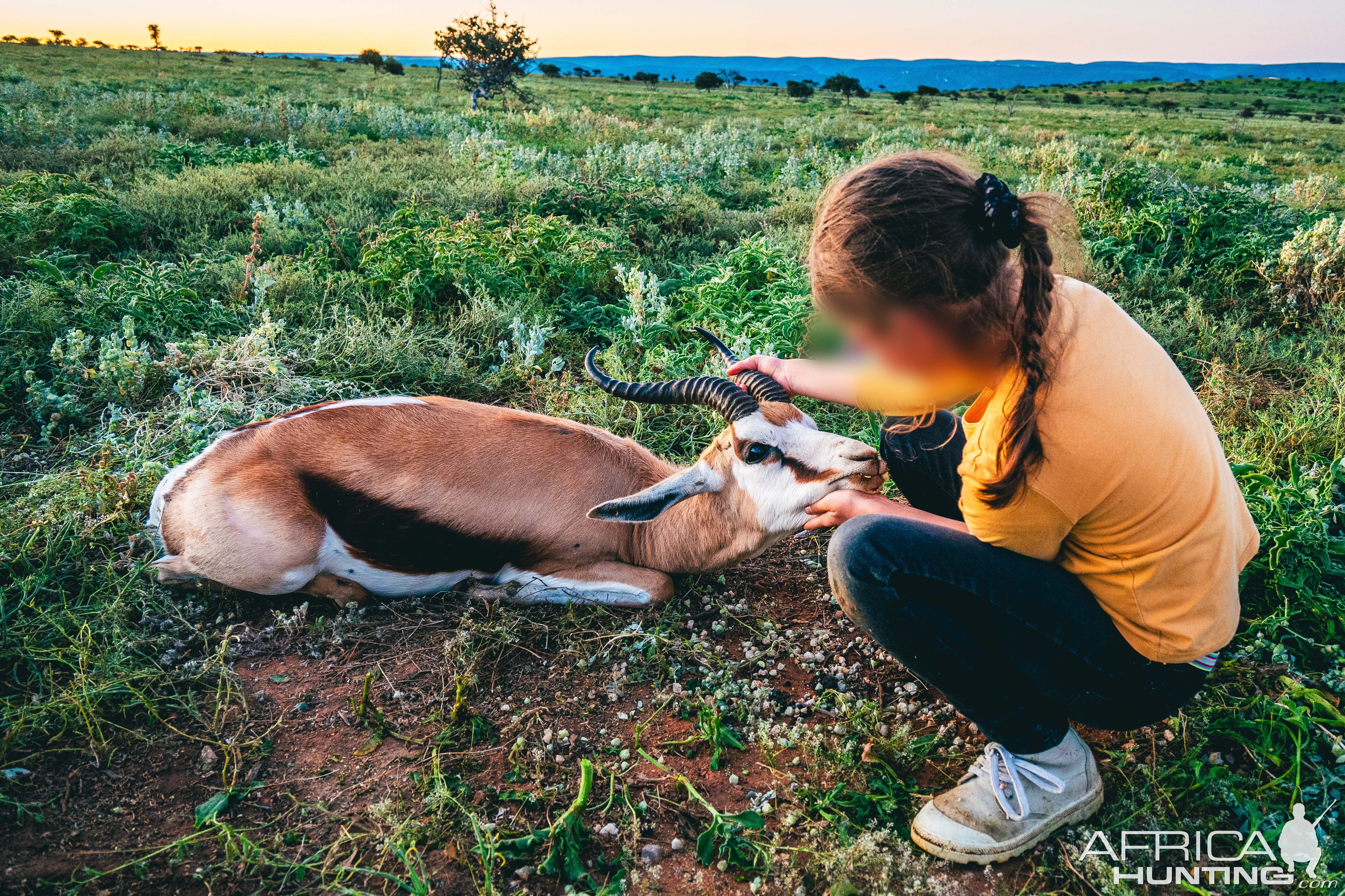 Springbok Hunt Eastern Cape South Africa