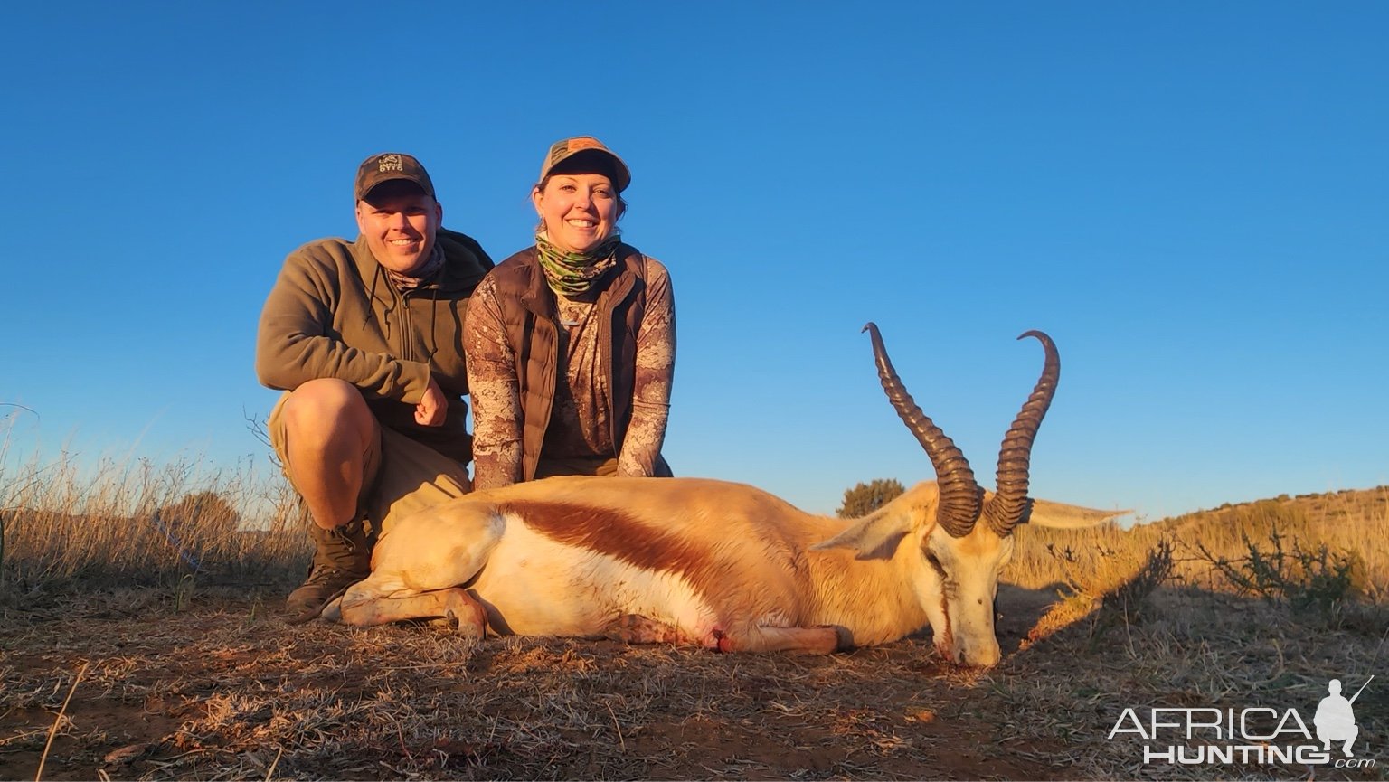 Springbok Hunt Free State South Africa