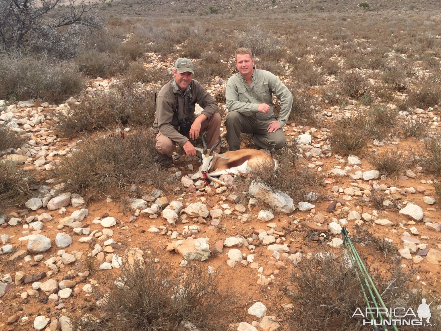 Springbok Hunt in South Africa