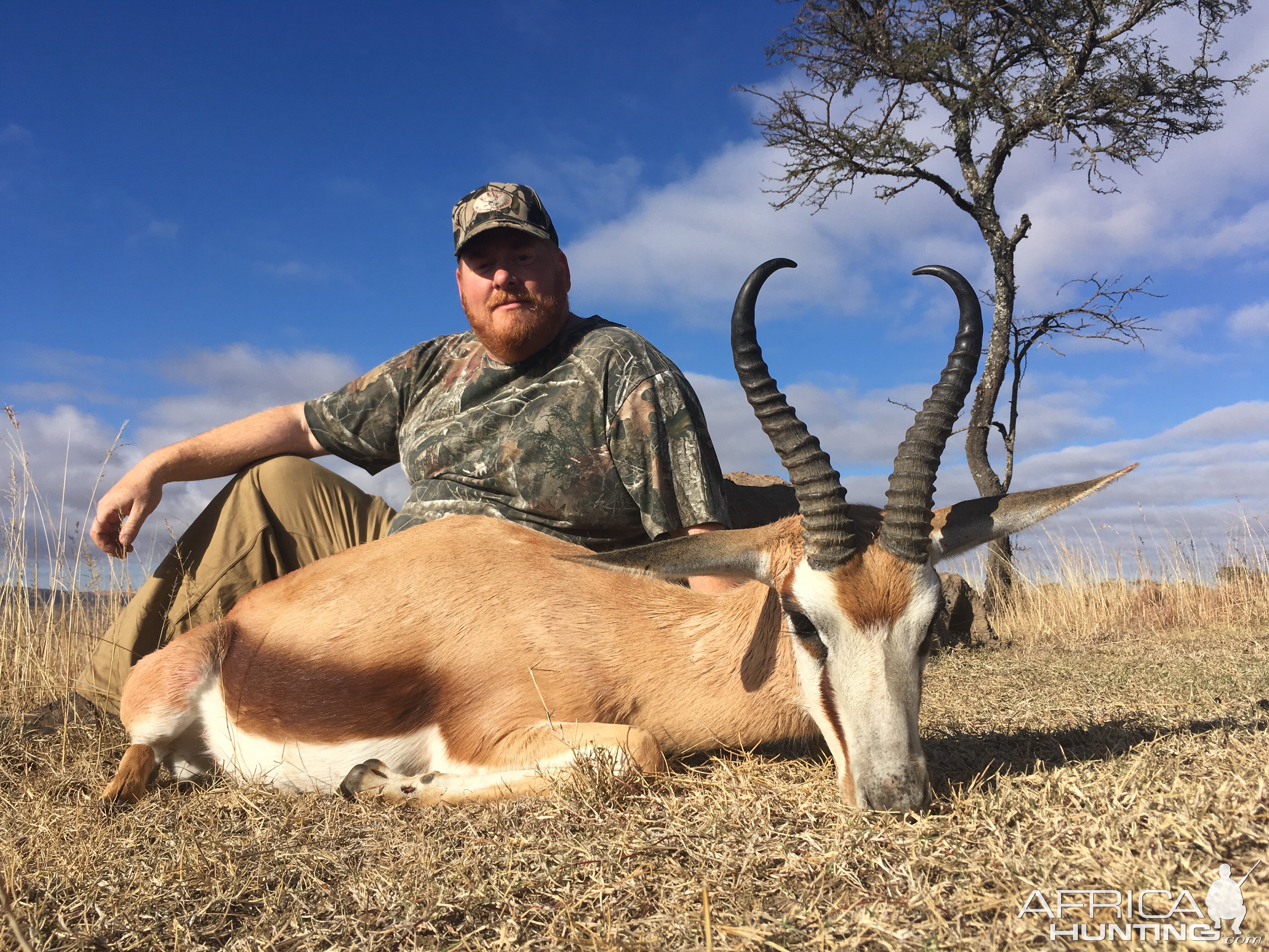 Springbok Hunt in South Africa