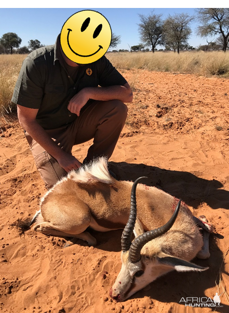 Springbok Hunt Kalahari South Africa