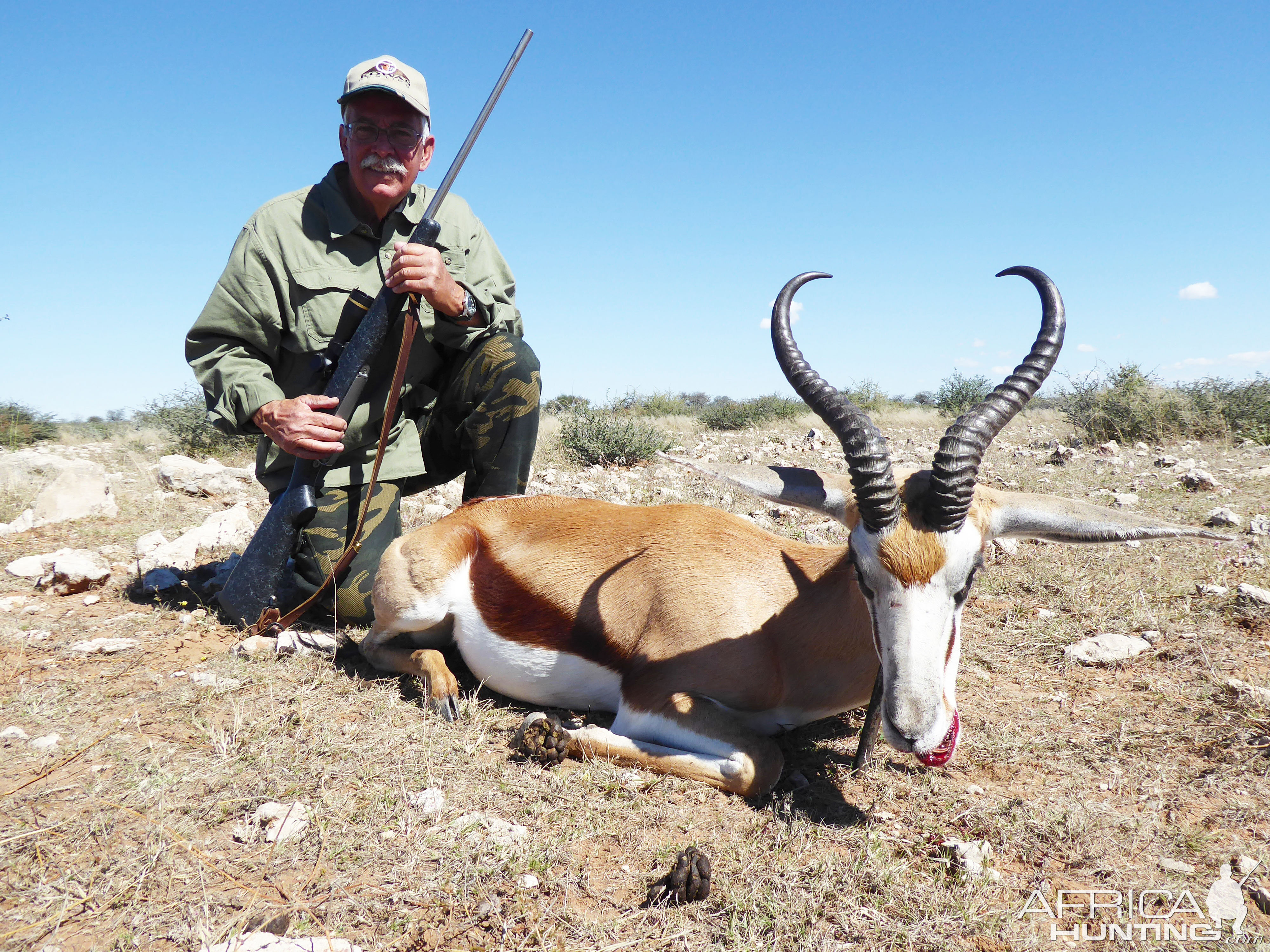 Springbok Hunt Namibia