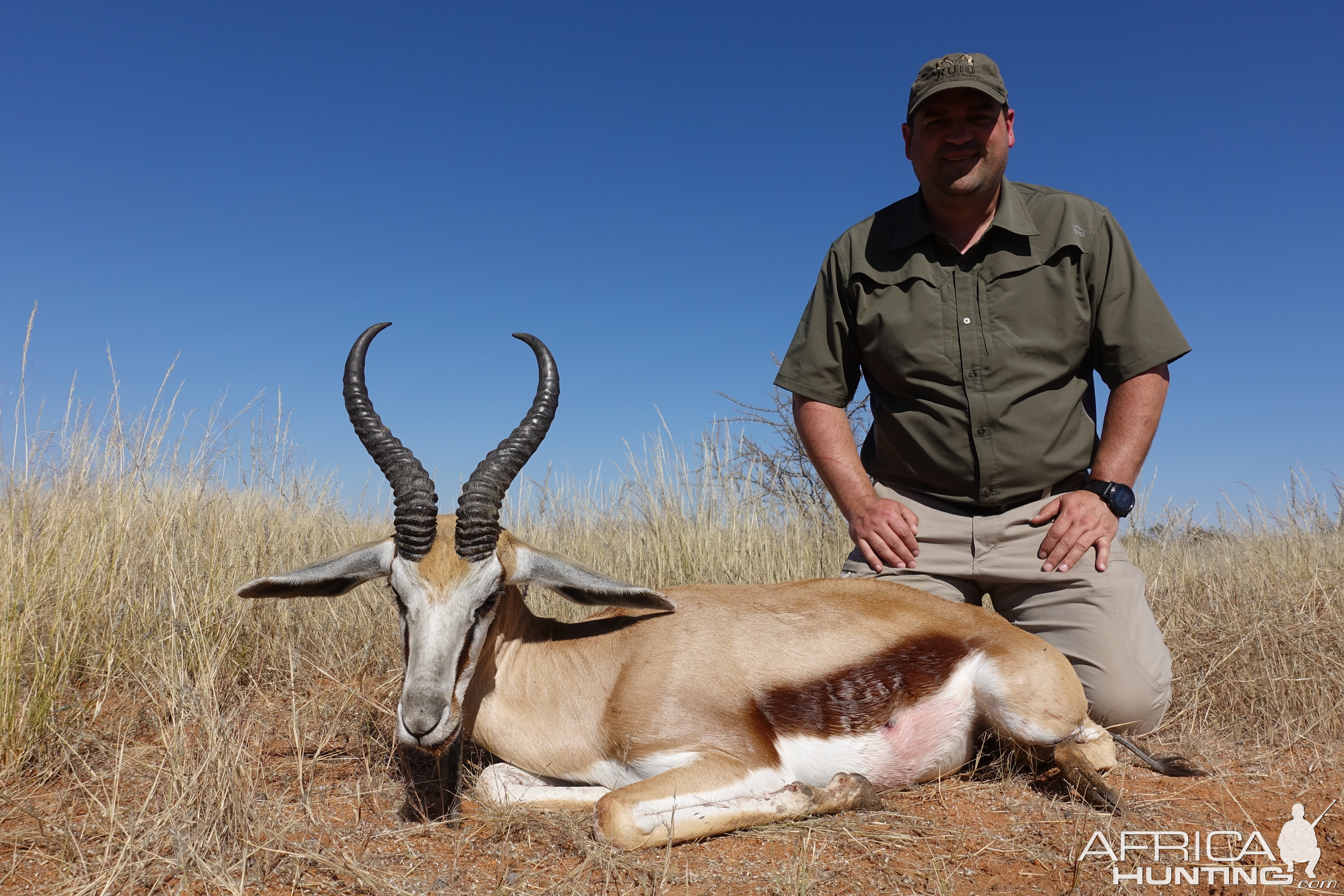 Springbok Hunt Namibia