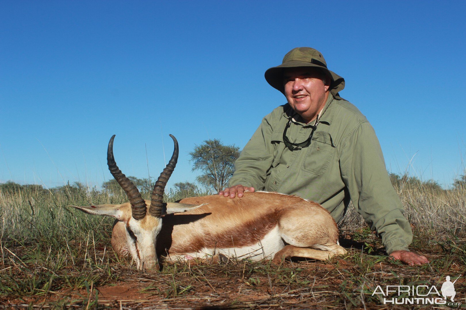 Springbok Hunt Namibia