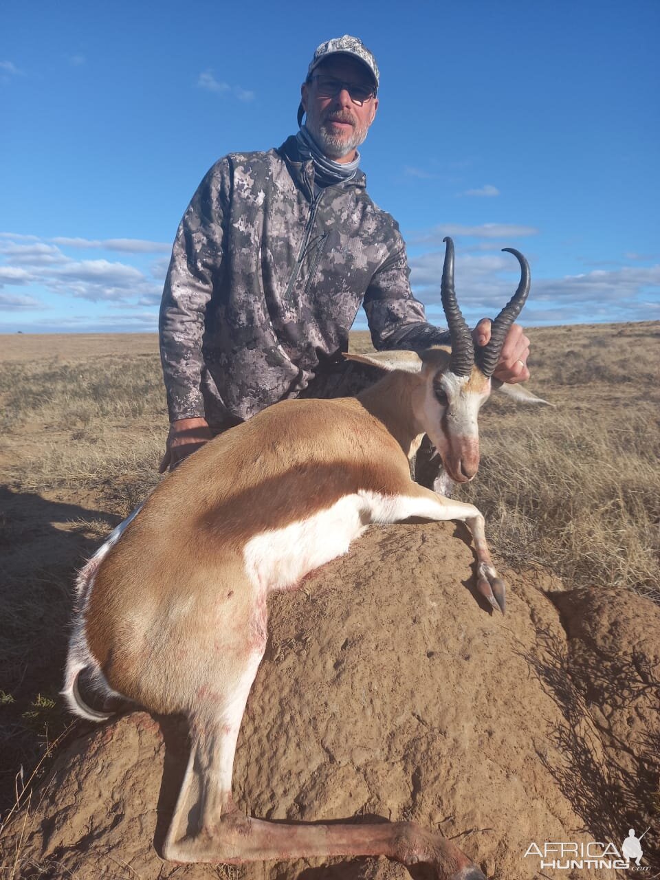 Springbok Hunt South Africa