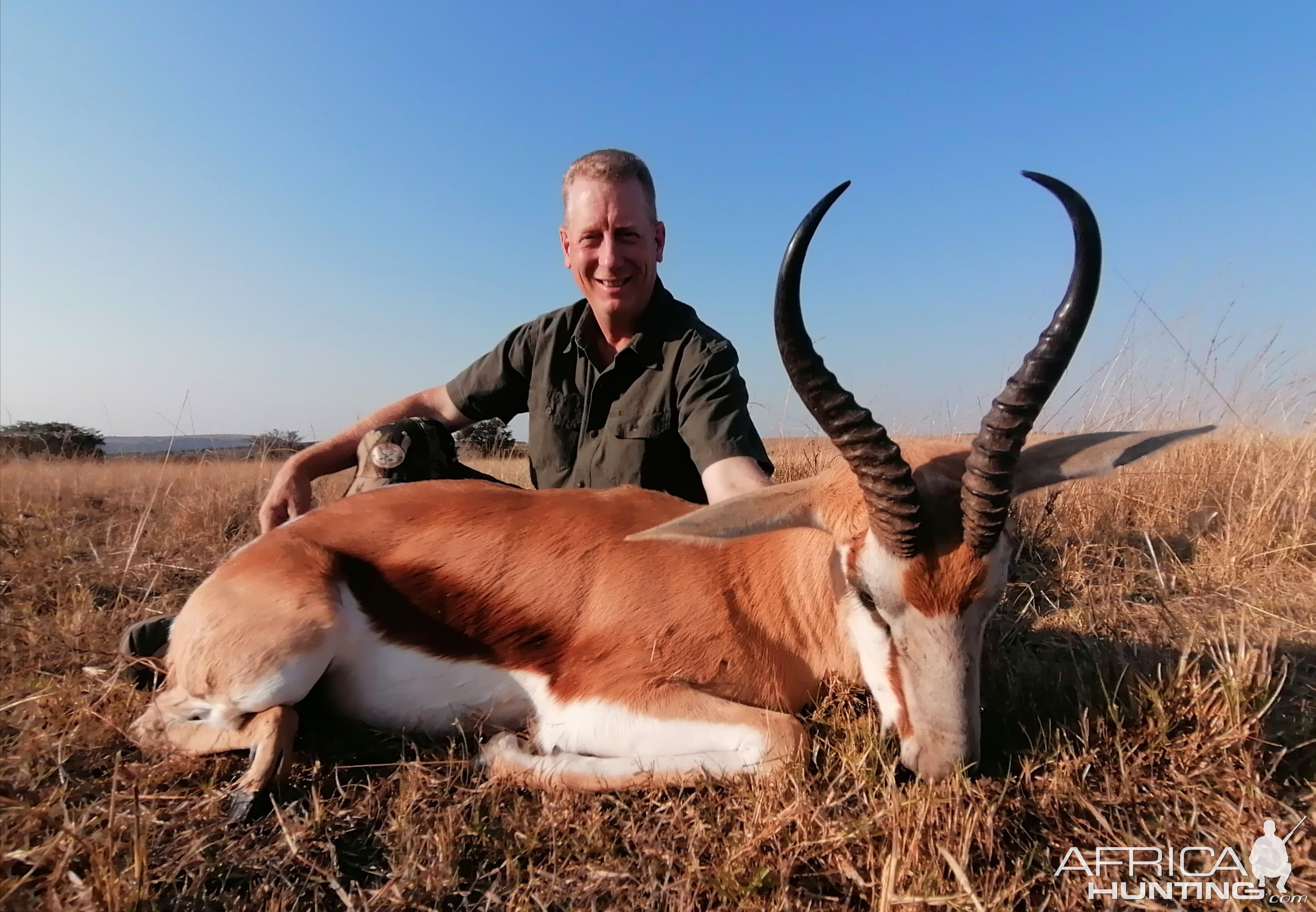 Springbok Hunt South Africa