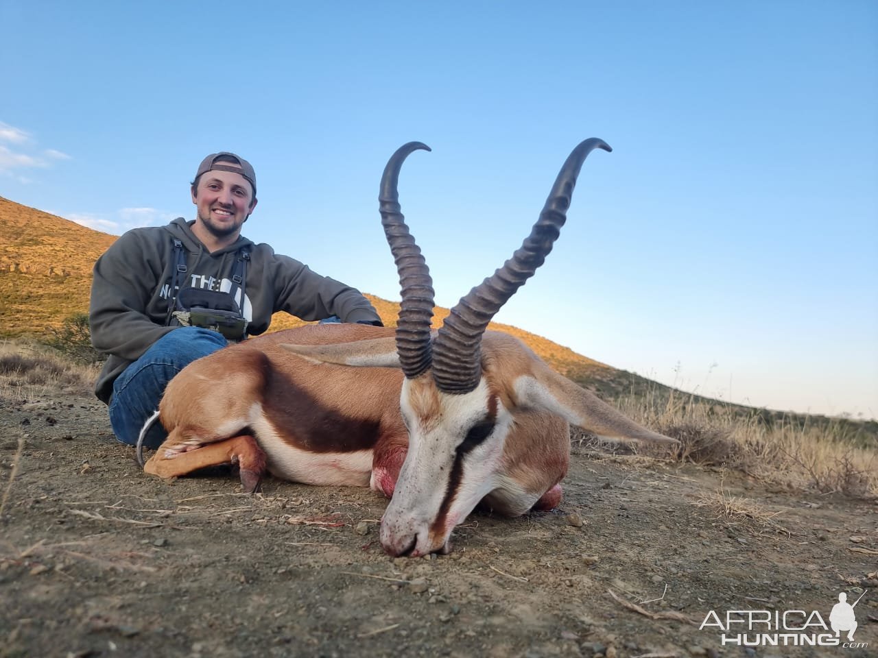 Springbok Hunt South Africa