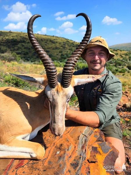 Springbok Hunt South Africa