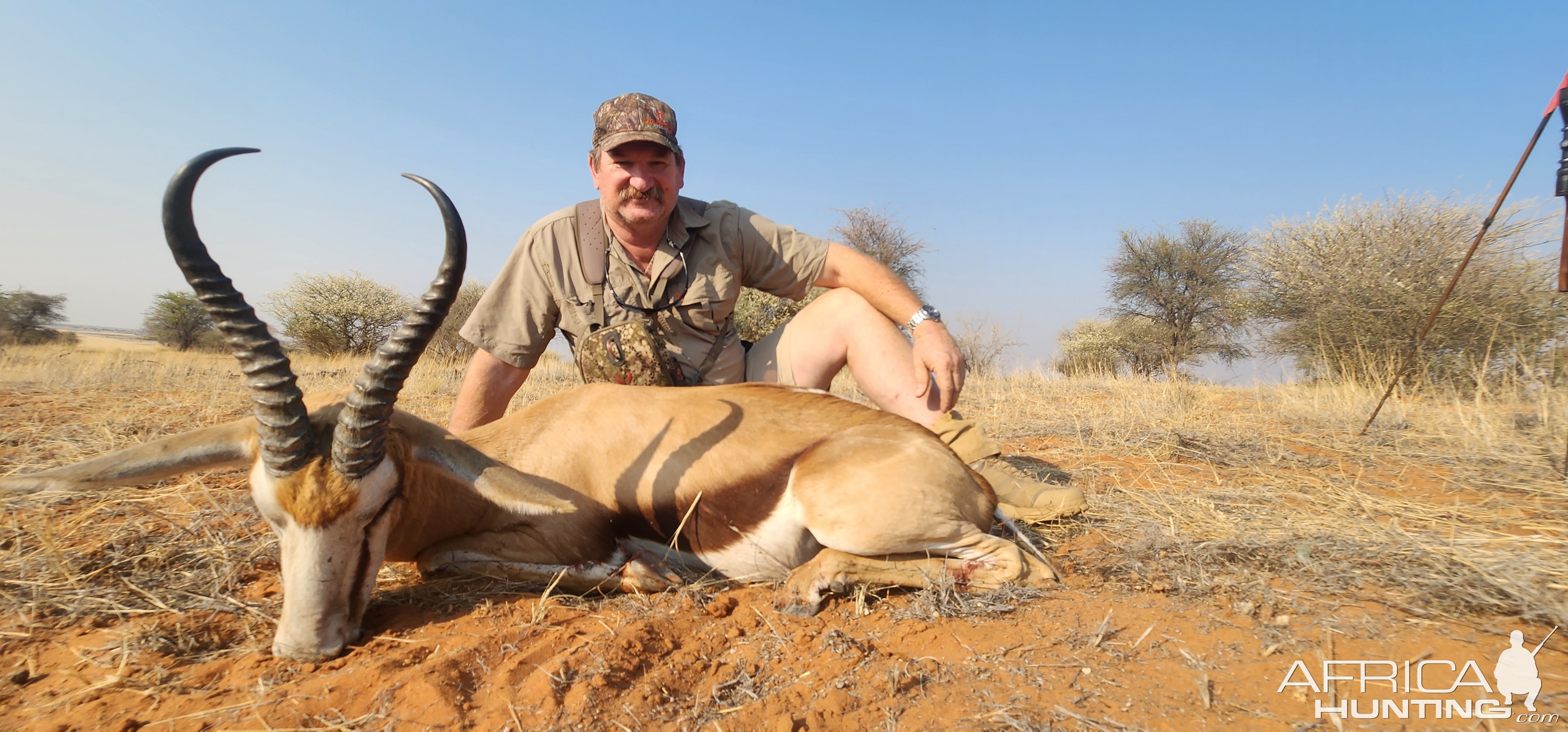 Springbok Hunt South Africa