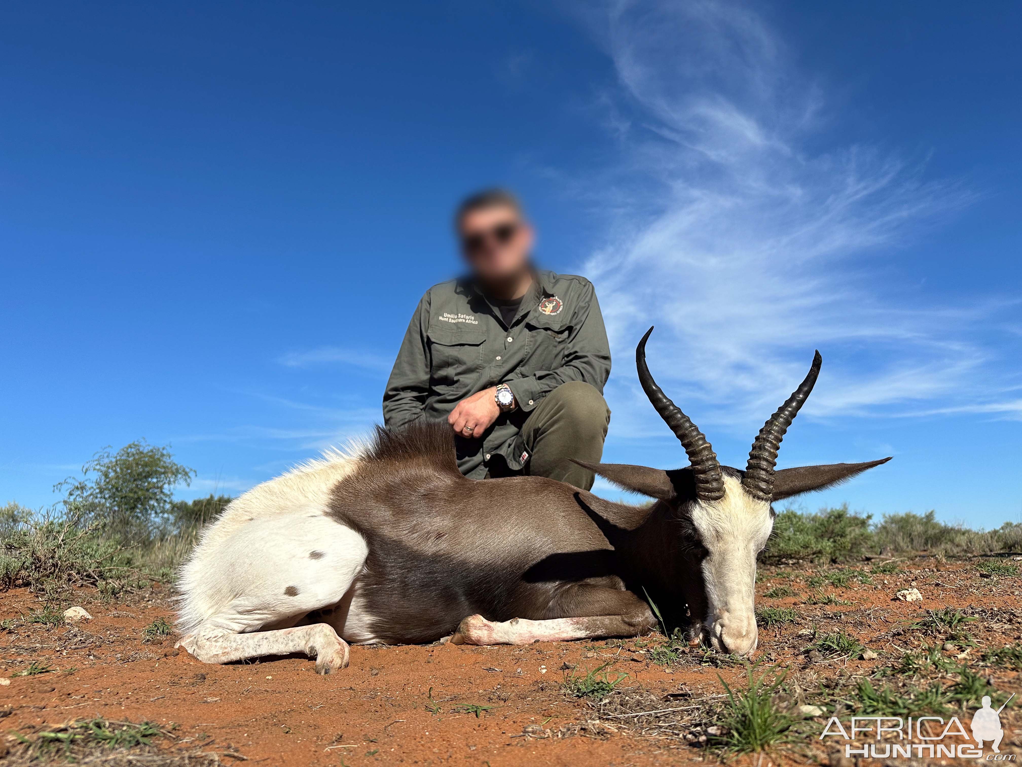 Springbok Hunt South Africa