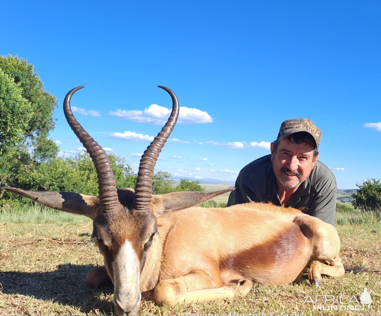 Springbok Hunt South Africa