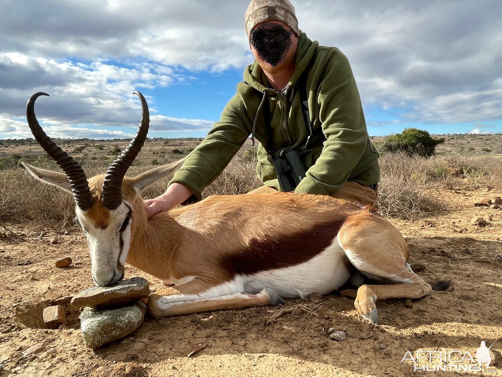 Springbok Hunt South Africa