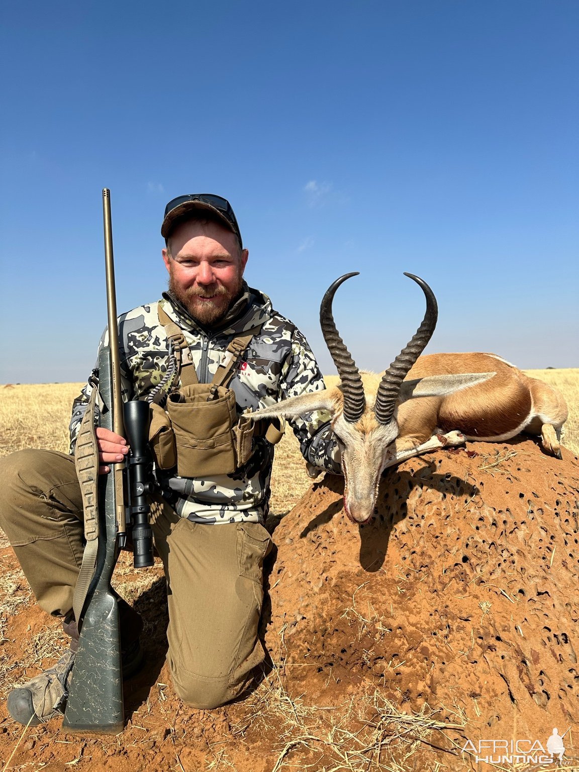 Springbok Hunt South Africa