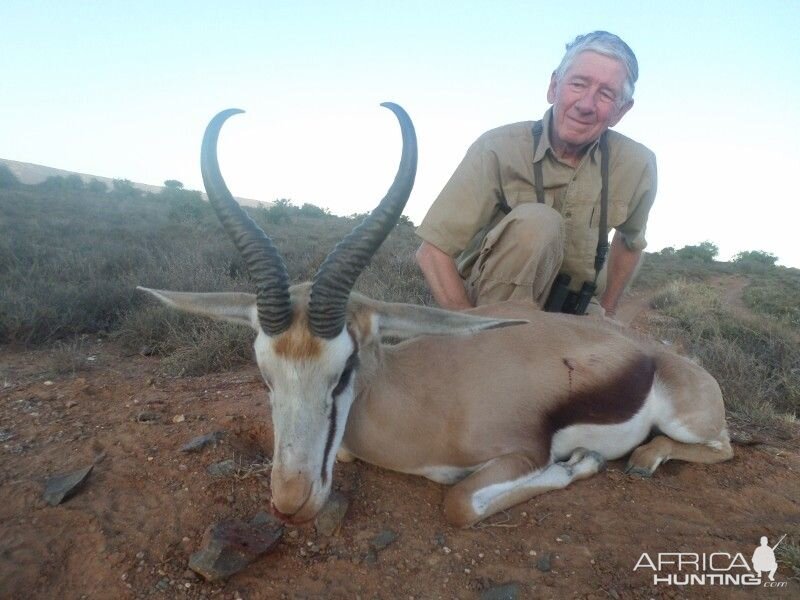 Springbok Hunt South Africa