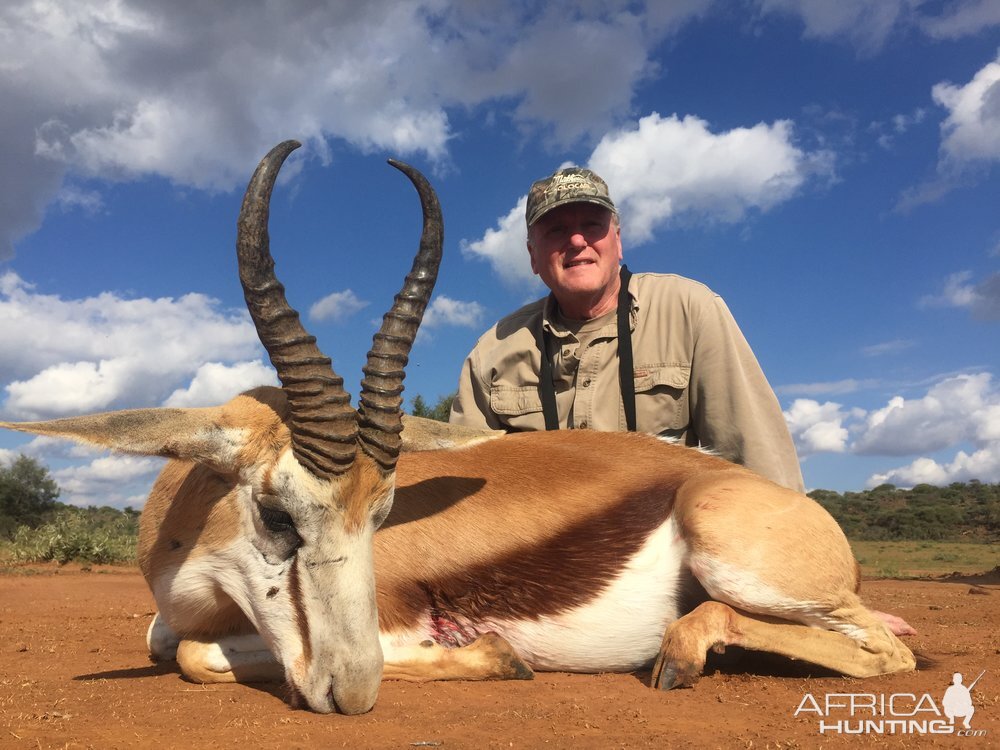 Springbok Hunt South Africa