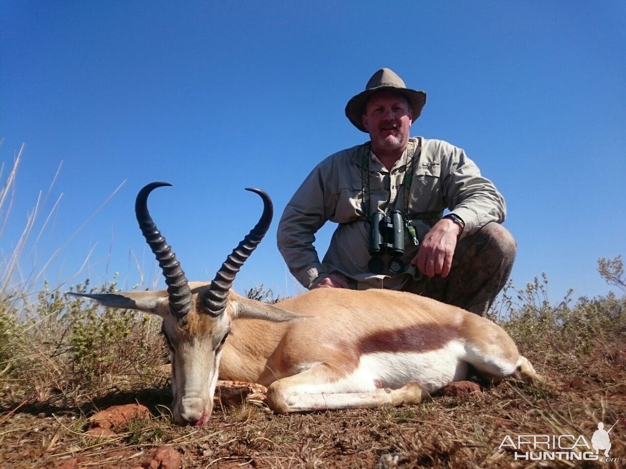 Springbok Hunt South Africa