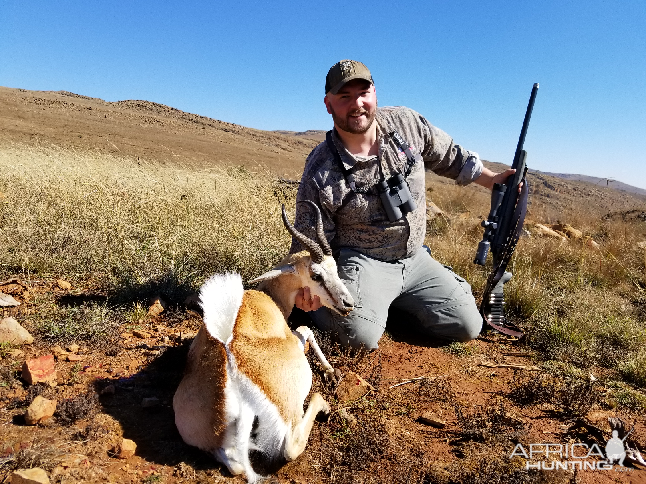 Springbok Hunt South Africa