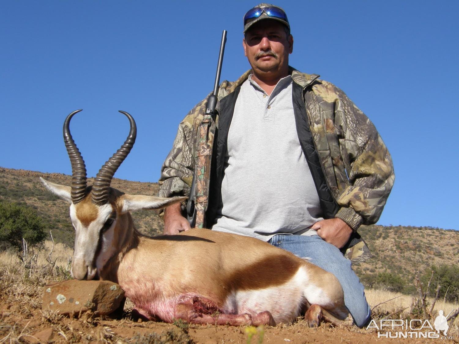 Springbok Hunt South Africa