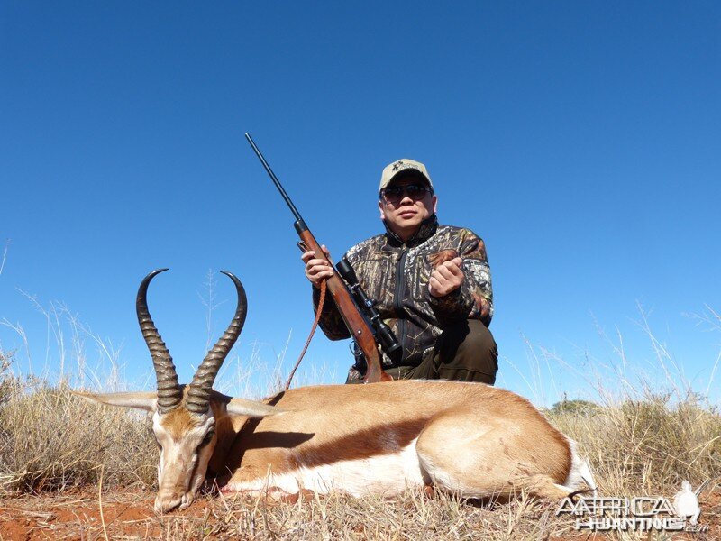 Springbok hunt with Wintershoek Johnny Vivier Safaris