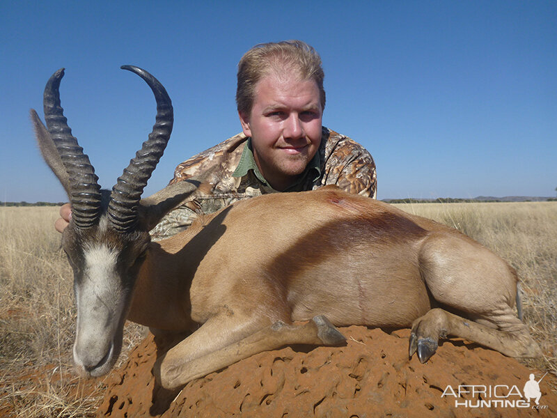 Springbok hunt with Wintershoek Johnny Vivier Safaris