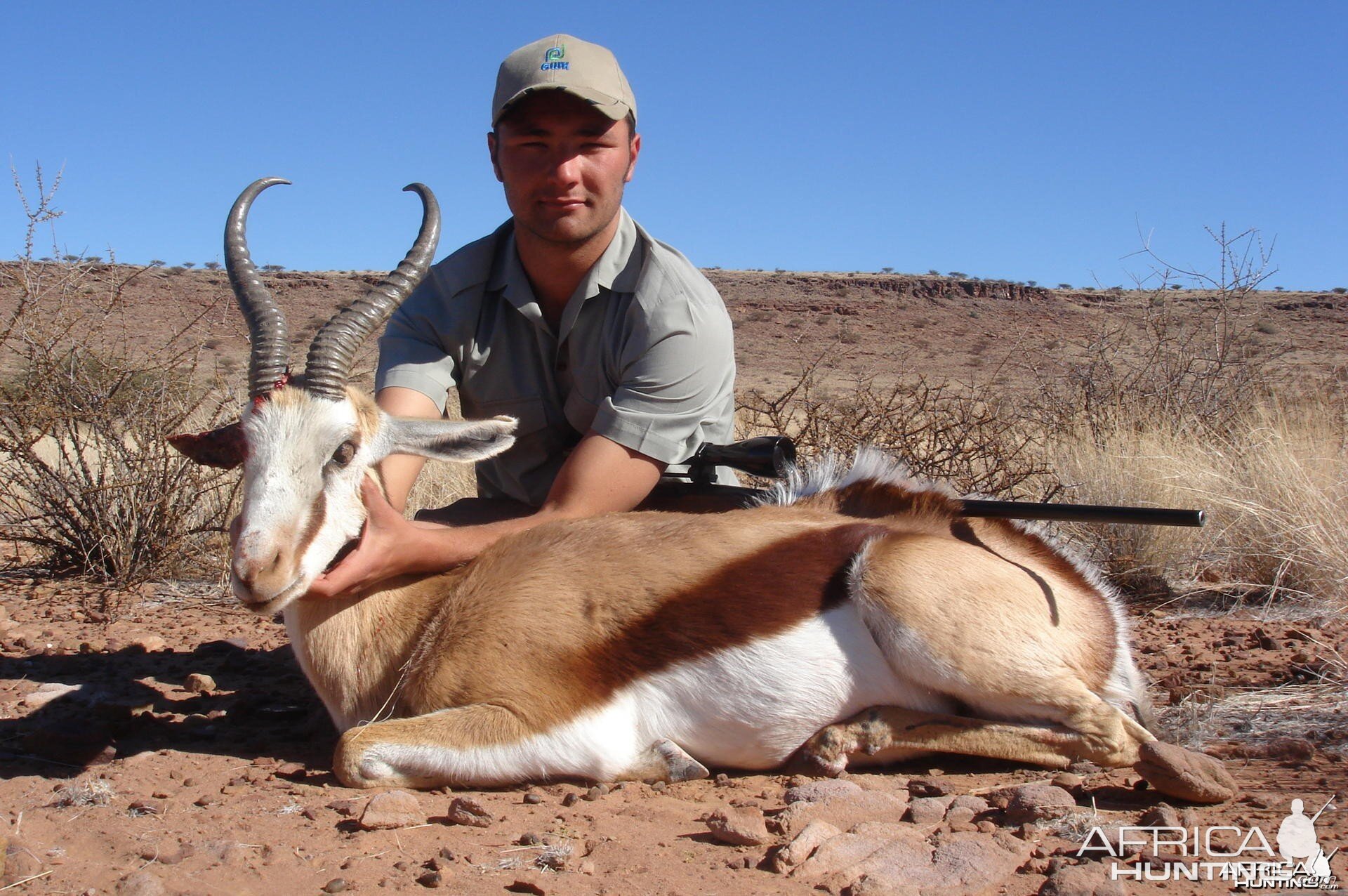 Springbok hunt